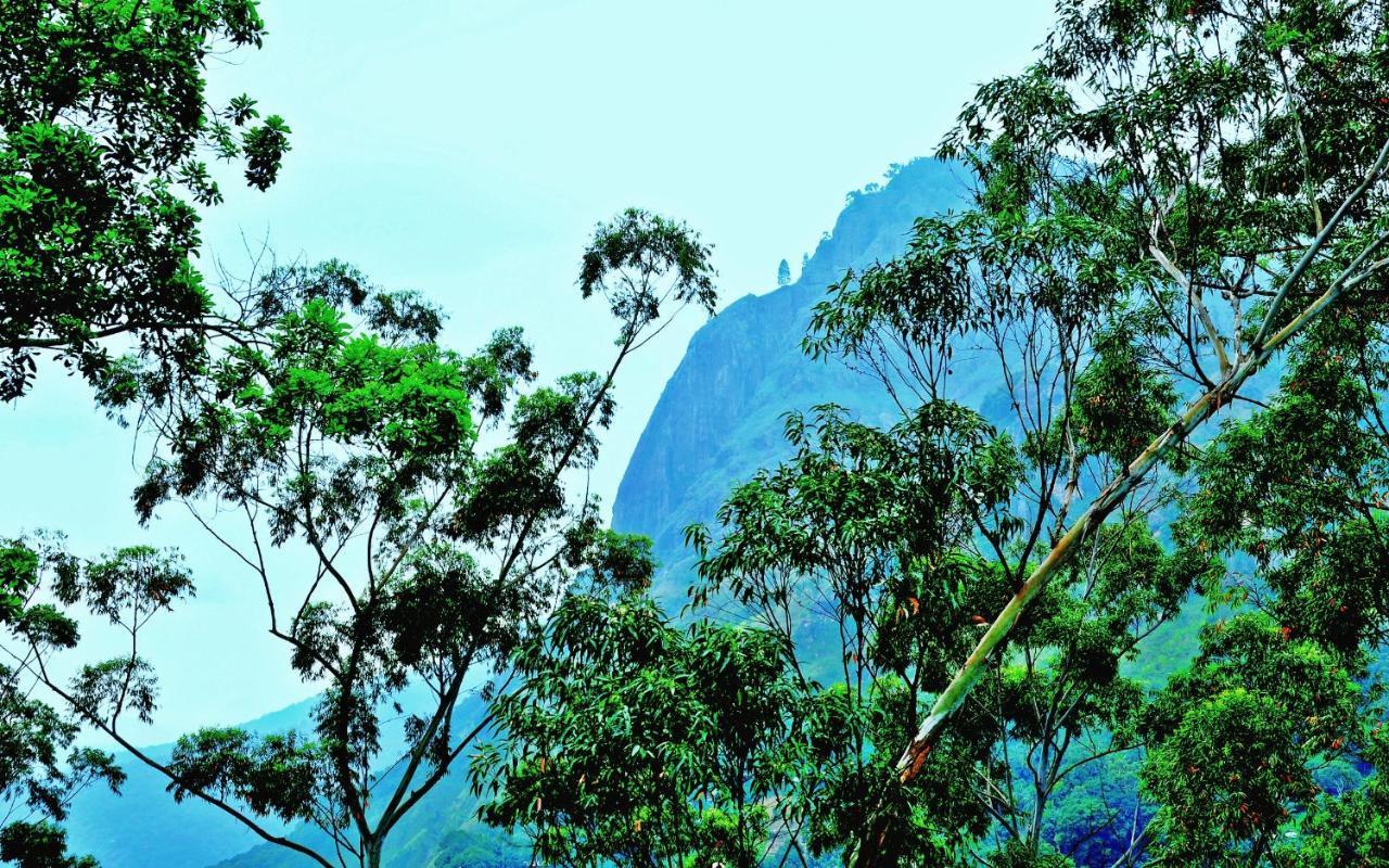 Ella View Hotel ภายนอก รูปภาพ